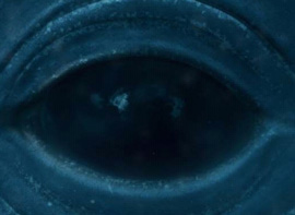 Das Auge eines Blauwals, einem der lautesten Tiere der Welt
