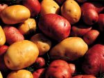 Verschiedene Kartoffelarten