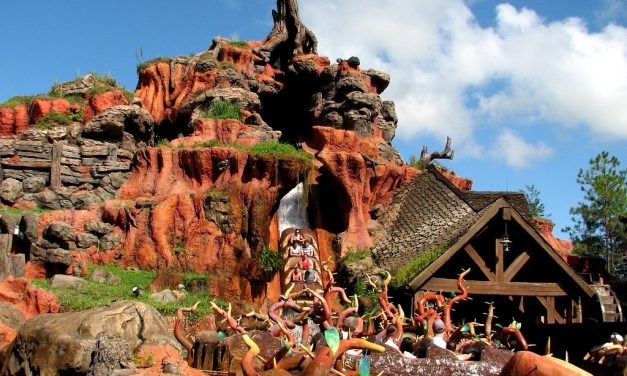 Der Größte Freizeitpark der Welt – Disney Magic Kingdom