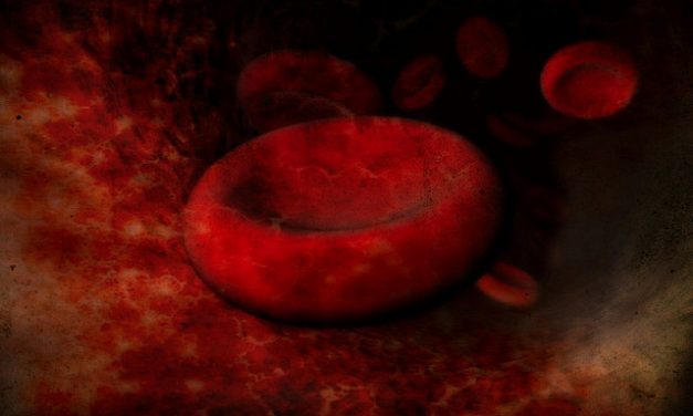 Wie gross ist ein rotes Blutkörperchen
