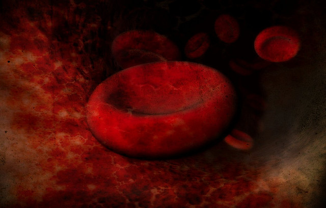 Wie gross ist ein rotes Blutkörperchen