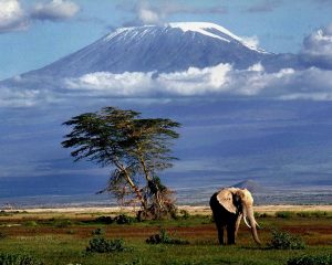 Der Kilimandscharo - Der höchste Berg Afrikas