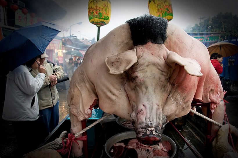 Pigs of God Festival in Taiwan