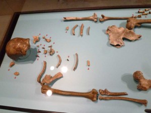 Skelett Reste eines Neandertaler