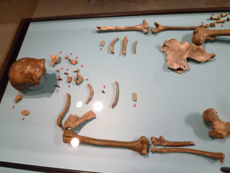 Wie alt wurden Neandertaler