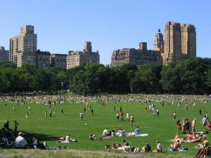 EIn sonniger Tag im Central Park in New York