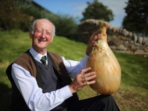 Peter Glazebrook und die größte Zwiebel der Welt